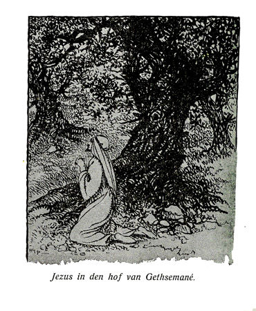 zsb-img/ill-img/bgtine1/bgtine1-171.jpg